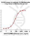 ELISA assay to evaluate CLDN6-Nanodisc