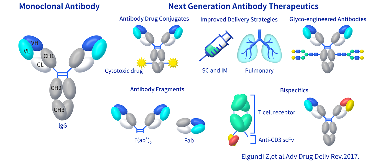 Antibody engineering DIMA Biotechnology