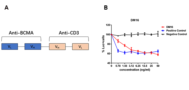 antibody-DMB100005 Fig.2