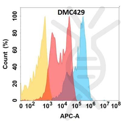 antibody-DMC100429 CD81 Flow Fig1