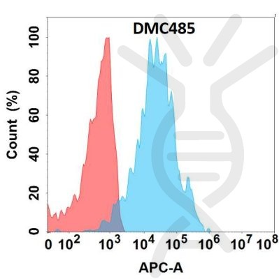 antibody-DMC100485 CDH17 Fig.1 FC 1