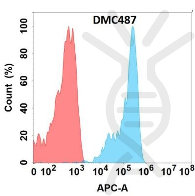 antibody-DMC100487 FZD10 Fig.1 FC 1