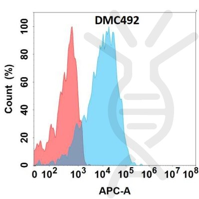 antibody-DMC100492 GPR75 Fig.1 FC 1