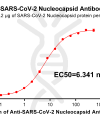 antibody-DME100015 SARS CoV 2 Nucleocapsid Figure 1