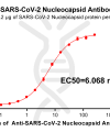 antibody-DME100016 SARS CoV 2 Nucleocapsid Figure 1