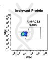 antibody-DME100047 ACE2 fig1A