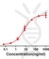antibody-DME100063 CD28 Fig.1 Elisa 1