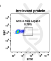 antibody-DME100068 4 1BBL 293 A FLOW fig 2