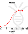 antibody-DME100072 MSLN ELISA Fig1