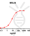 antibody-DME100073 MSLN ELISA Fig1
