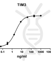 antibody-DME100081 TIM3 ELISA Fig1