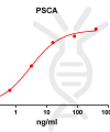 antibody-DME100087 PSCA ELISA Fig1