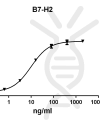 antibody-DME100099 B7 H2 ELISA Fig1