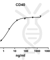 antibody-DME100102 CD40 ELISA Fig1