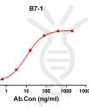 antibody-DME100109 B7 1 EILSA Figure 1