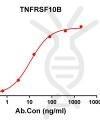 antibody-DME100114 TNFRSF10B ELISA Figure1