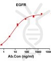 antibody-DME100129 EGFR ELISA Fig1