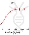 antibody-DME100137 5T4 ELISA Fig1