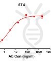 antibody-DME100138 5T4 ELISA Fig1