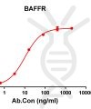 antibody-DME100143 BAFFR ELISA Fig1