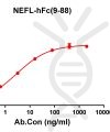 antibody-DME100198 NEFL9 88 ELISA Fig1