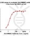 antibody-DME101003 MMAE Fig.1 Elisa 1