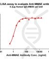 antibody-DME101004 MMAE Fig.1 Elisa 1