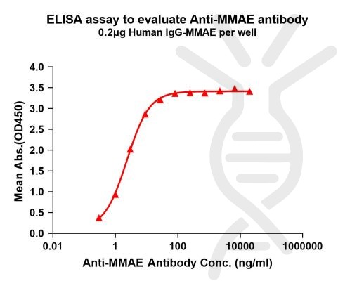 antibody-DME101005 MMAE Fig.1 Elisa 1