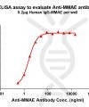 antibody-DME101006 MMAE Fig.1 Elisa 1