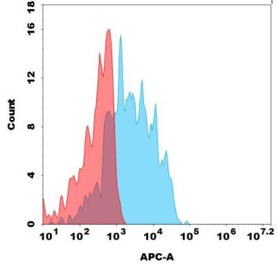 antibody-dmc100478b gpr87 fc1