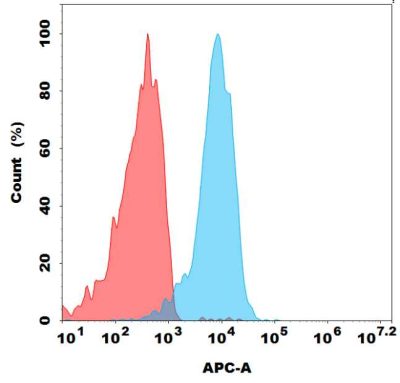 antibody-dmc100682b cd166 fc1