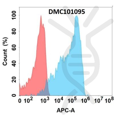 antibody-dmc101095 tfrc fc1