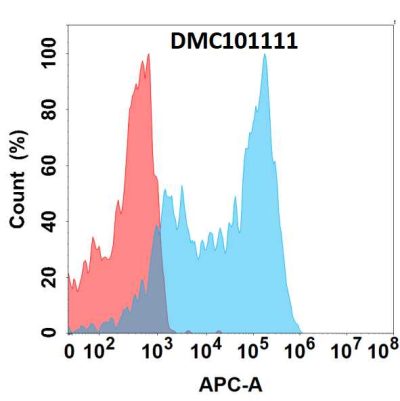 antibody-dmc101111 fzd4 fc1