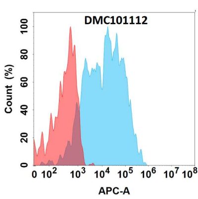 antibody-dmc101112 ncr1 fc1