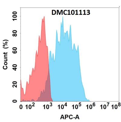antibody-dmc101113 tim 1 fc1