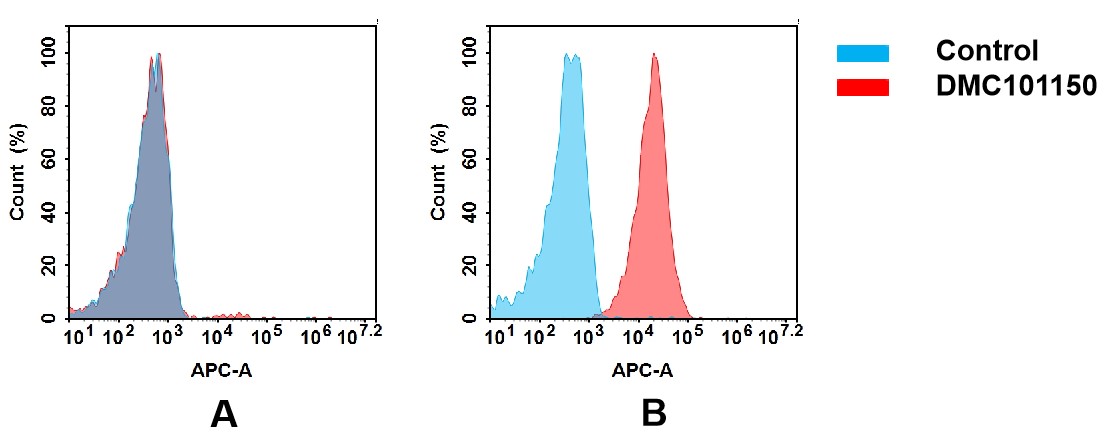 dmc101150-cd19-fc2.jpg