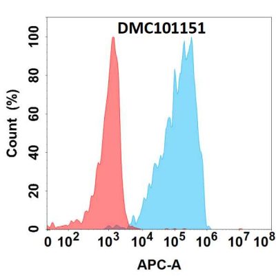 antibody-dmc101151 adamts1 fc1