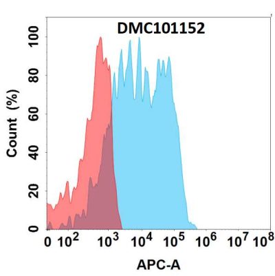 antibody-dmc101152 gpnmb fc1