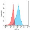 antibody-dmc101199 cldn6 fc1