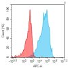 antibody-dmc101201 cldn6 fc1