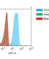 antibody-dmc101356 met fc1