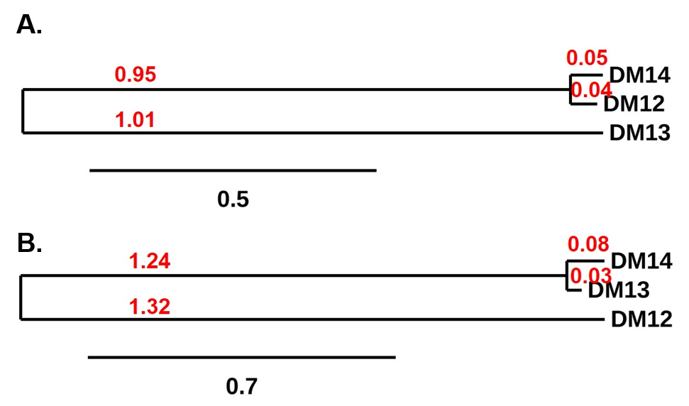 dme100013-cd22-fig3.jpg