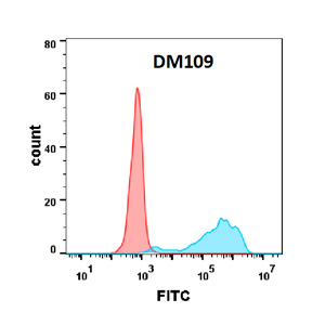 dme100109-b7-1-fc1.jpg