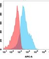 antibody-dme100204b cd73 fc1