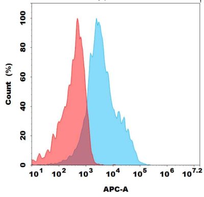 antibody-dme100204b cd73 fc1