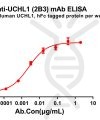 antibody-dme100265 uchl12b3 elisa1