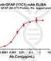 antibody-dme100801 gfap17c1 elisa1