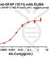 antibody-dme100803 gfap1e11 elisa1