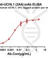 antibody-dme100843 uchl12a4 elisa1