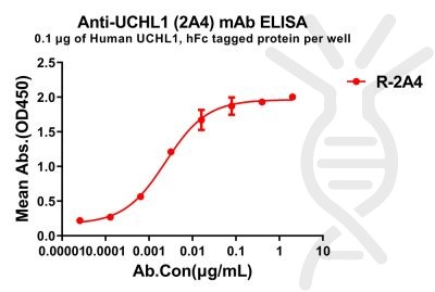 antibody-dme100843 uchl12a4 elisa1